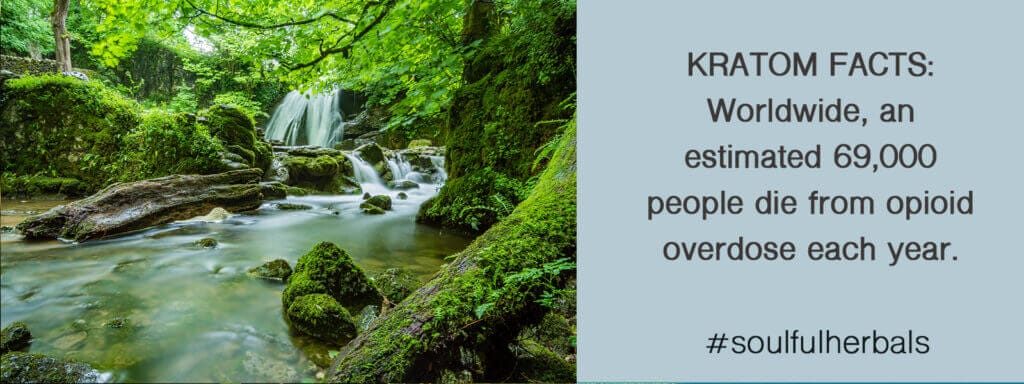 kratom facts