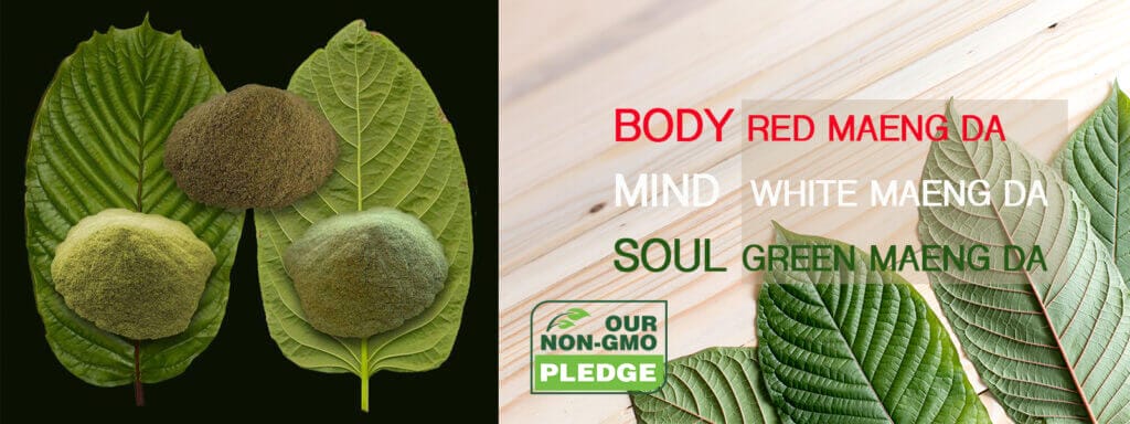 Best Kratom