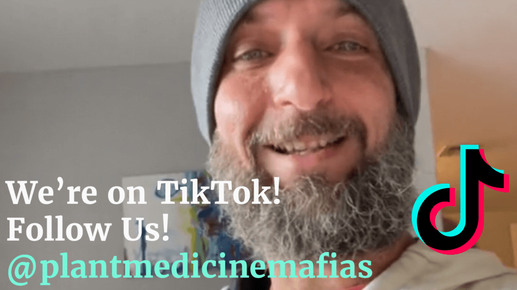 TikTok kratom