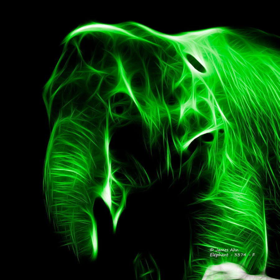 buy green elephant kratom